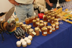IMG_3480 (FILEminimizer)