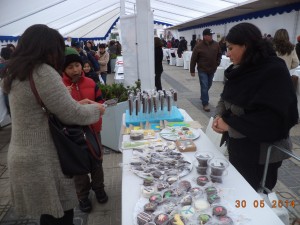 DSC04190