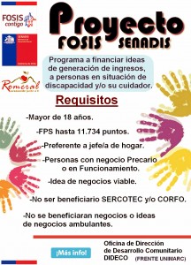 PROYECTO SENADIS FOSIS (2)